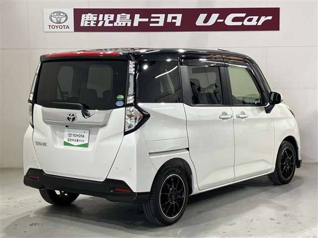 タンク1.0 カスタム G-T