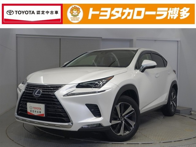 NX300h Iパッケージ