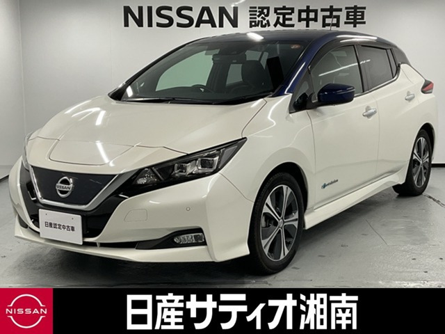 リーフX
