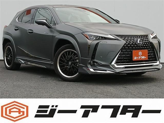 UX�i���N�T�X�j300e �o�[�W����L ���Îԉ摜