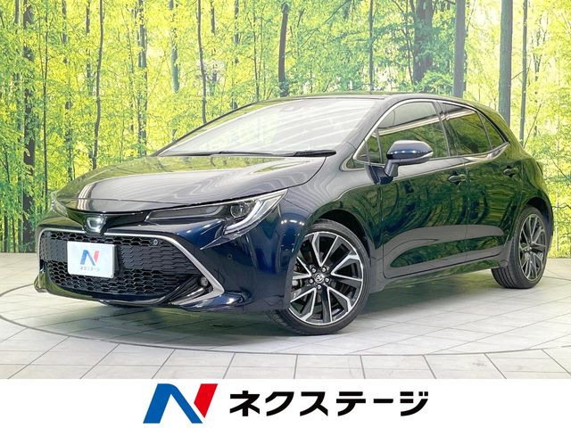 �J���[���X�|�[�c�i�g���^�j1.2 GZ ���Îԉ摜