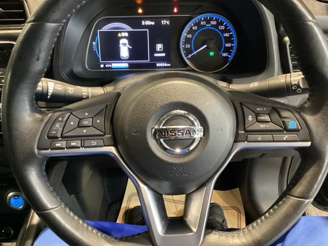 リーフG