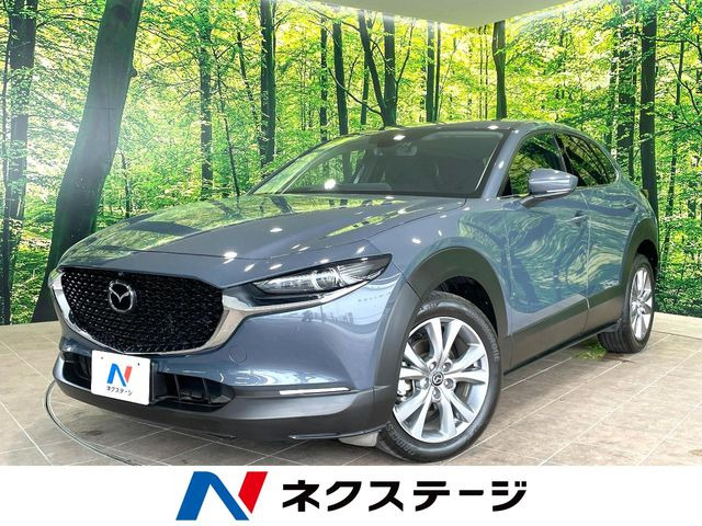 CX-301.8 XD プロアクティブ