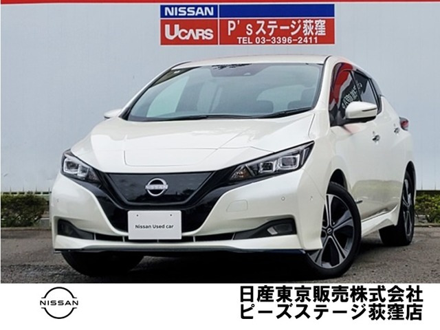 リーフe+ G
