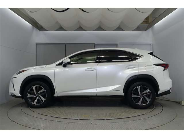 NX300h Iパッケージ