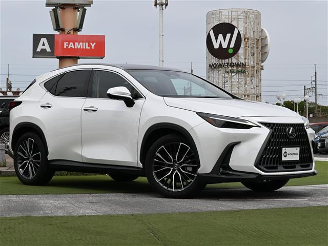NX250 バージョンL 4WD