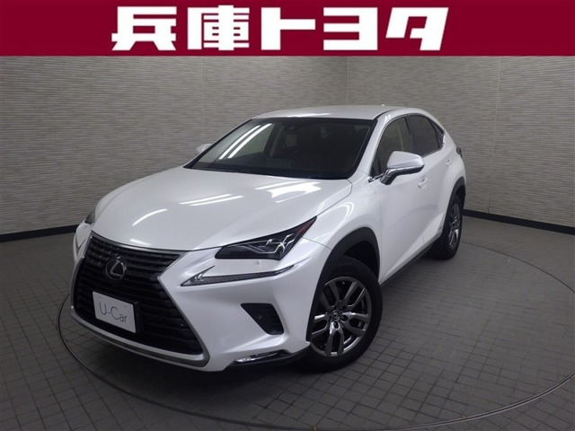 NX300h バージョンL
