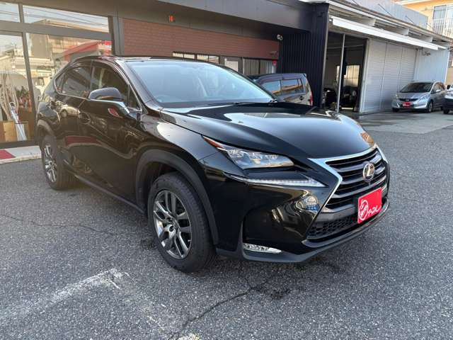 NX300h バージョンL