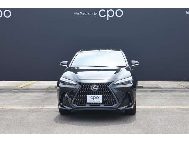 NX250 バージョンL