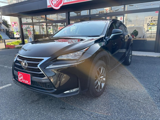 NX300h バージョンL
