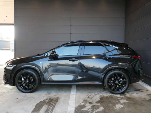 NX350h Fスポーツ