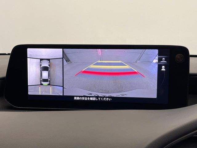 �y360&deg;�r���[���j�^�[�z��p�̃J�����ɂ��A�ォ�猩���낵���悤�Ȏ��_��360�x�N���}�̎��͂��m�F���邱�Ƃ��ł��܂������p�������m�F���₷���A�����ꏊ�ł̐؂�Ԃ��⒓�Ԃ��X���[�Y�ɍs���܂��B