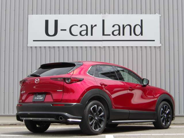 CX-301.8 XD Lパッケージ