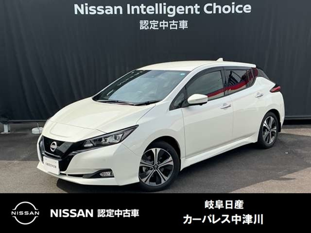 リーフ