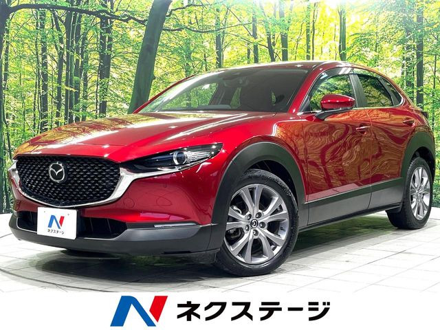 CX-30�i�}�c�_�j2.0 20S ���Îԉ摜