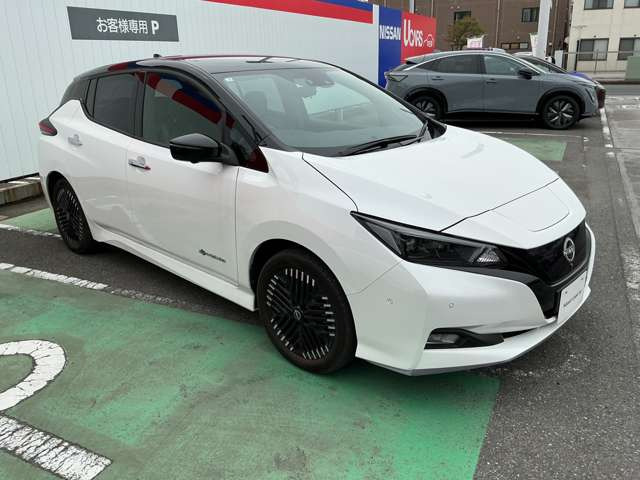 リーフe+ G