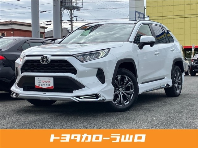 RAV42.0 X