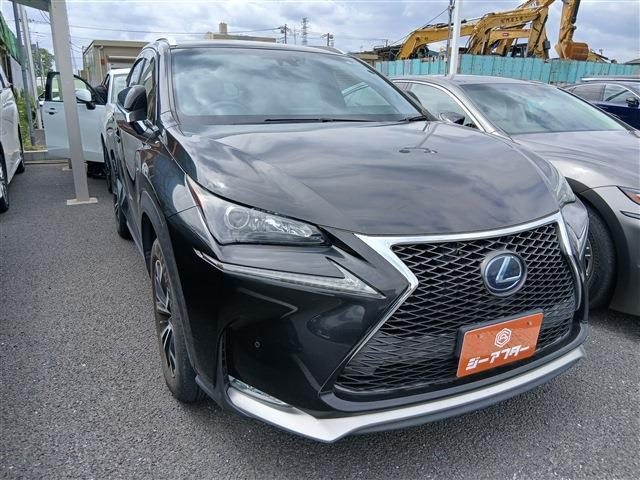 NX300h Fスポーツ