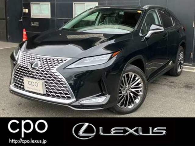 RX300