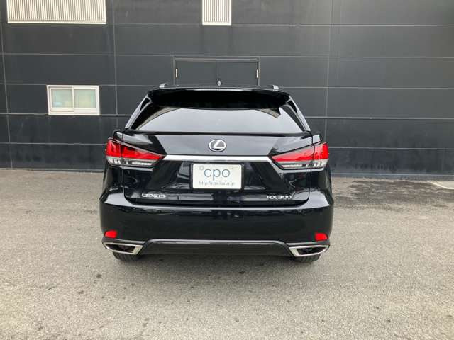 RX300