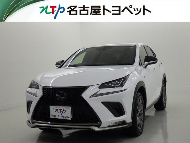 NX300 Fスポーツ
