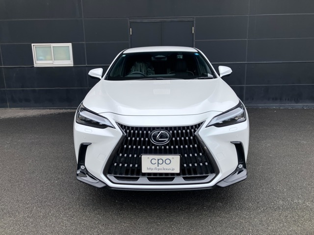 NX250 バージョンL