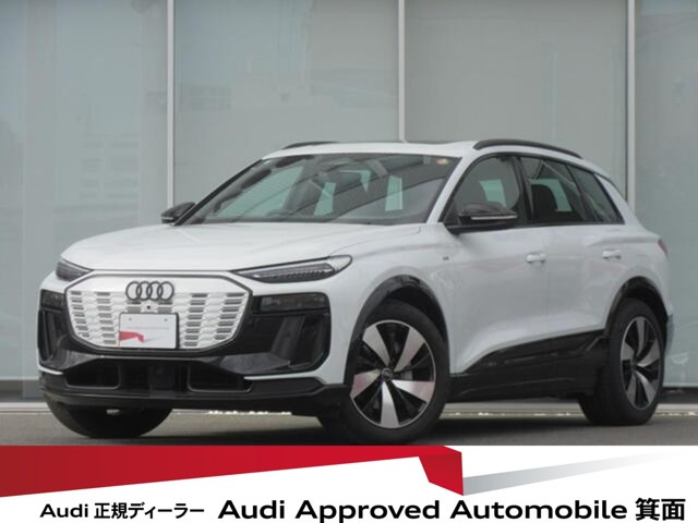 Q6 e-tronクワトロ アドバンスト Sラインパッケージ 4WD
