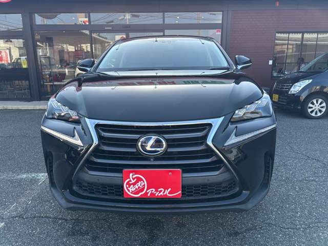 NX300h バージョンL
