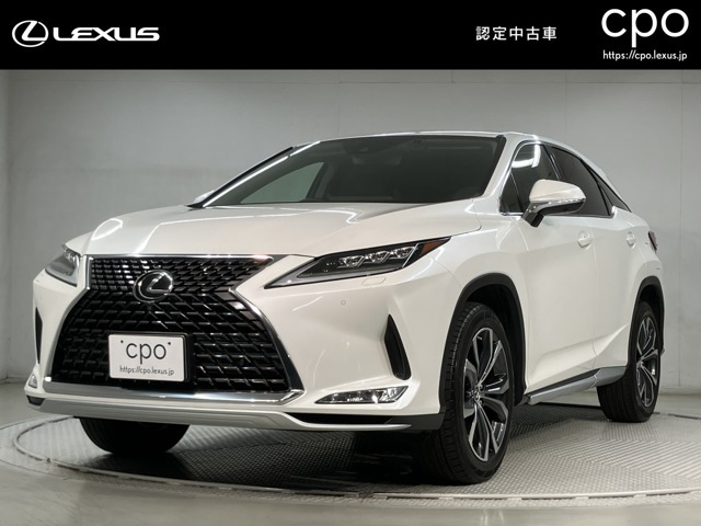 RX300 バージョンL