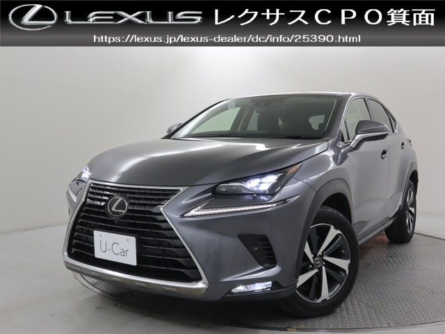 NX300 Iパッケージ