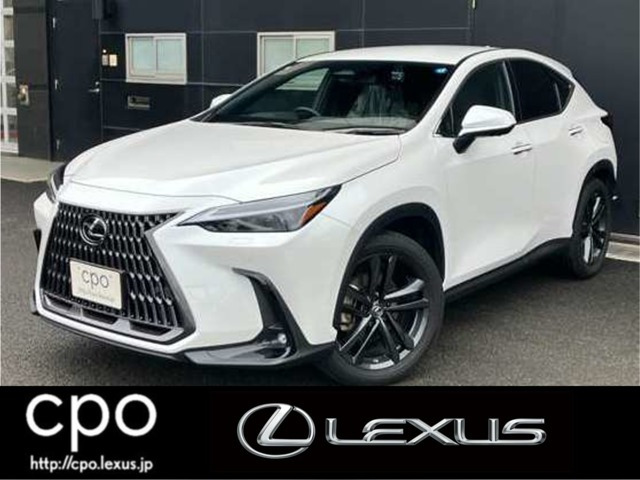 NX250 バージョンL