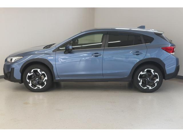 XV