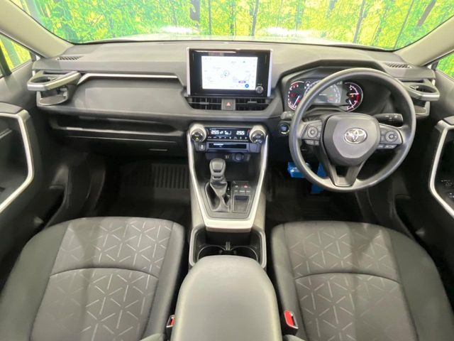RAV42.0 X