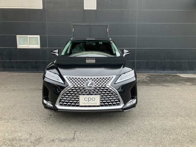 RX300