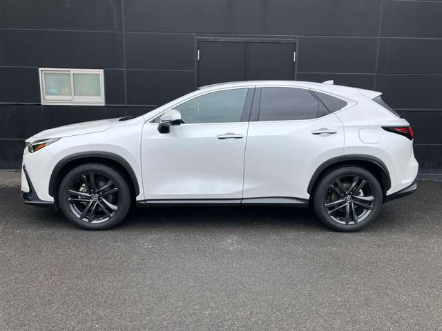 NX250 バージョンL