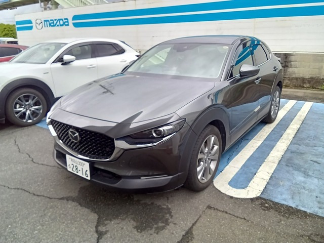 CX-302.0 20S プロアクティブ