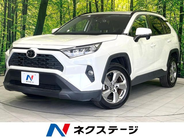 RAV42.0 X