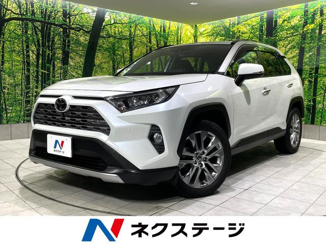 RAV42.0 G Zパッケージ 4WD