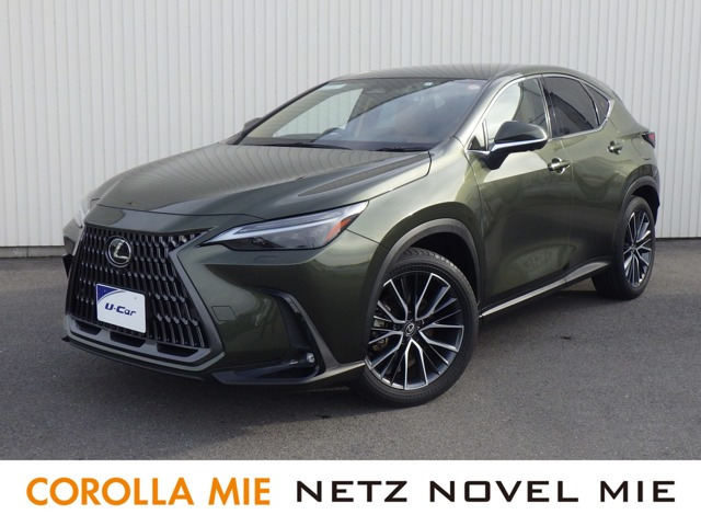 NX350h バージョンL 4WD