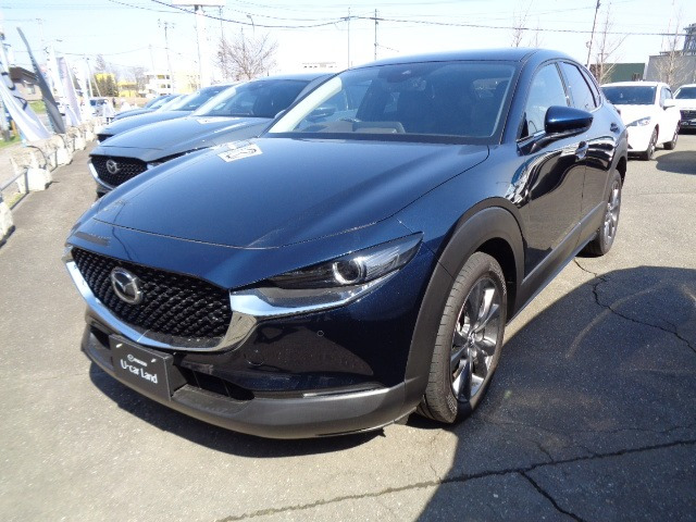 CX-302.0 X Lパッケージ 4WD