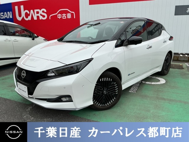 リーフe+ G