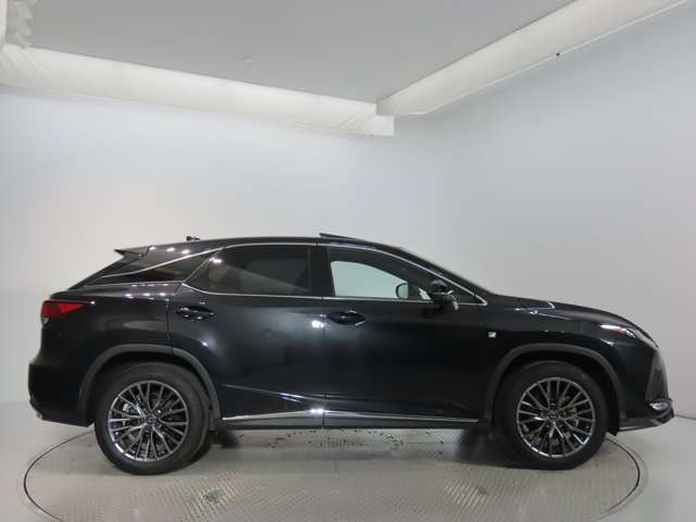 RX300 Fスポーツ
