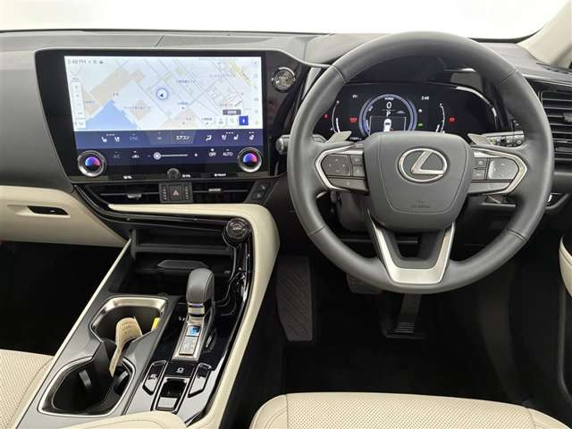 NX