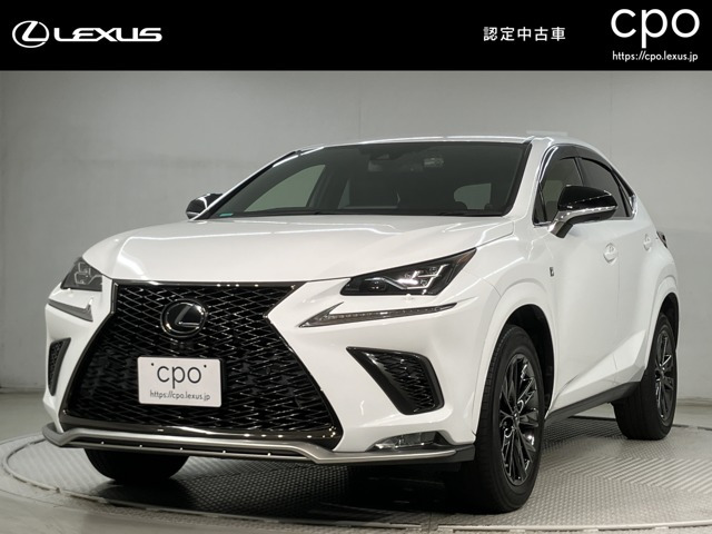 NX300