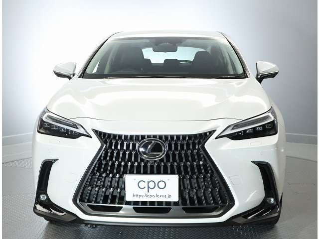 NX350h バージョンL