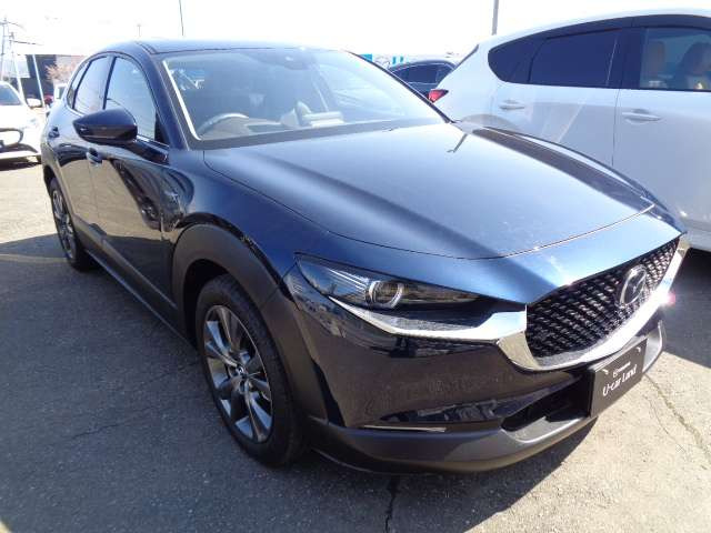 CX-302.0 X Lパッケージ 4WD