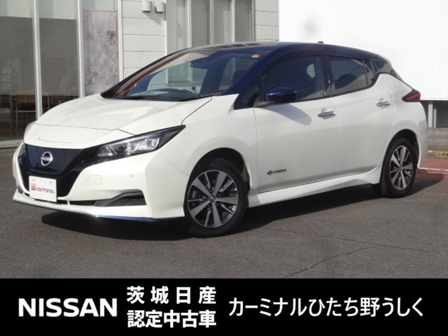 リーフe+ X