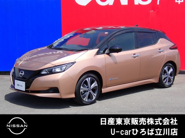リーフ
