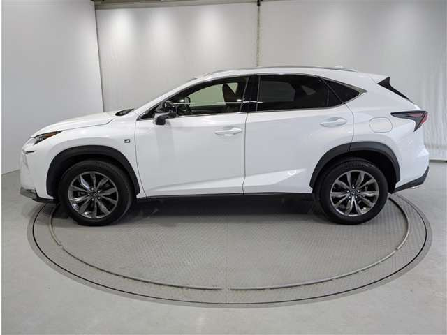 NX200t Fスポーツ
