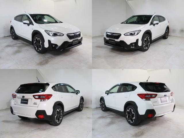 XV